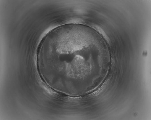 X0000097481035200802221347