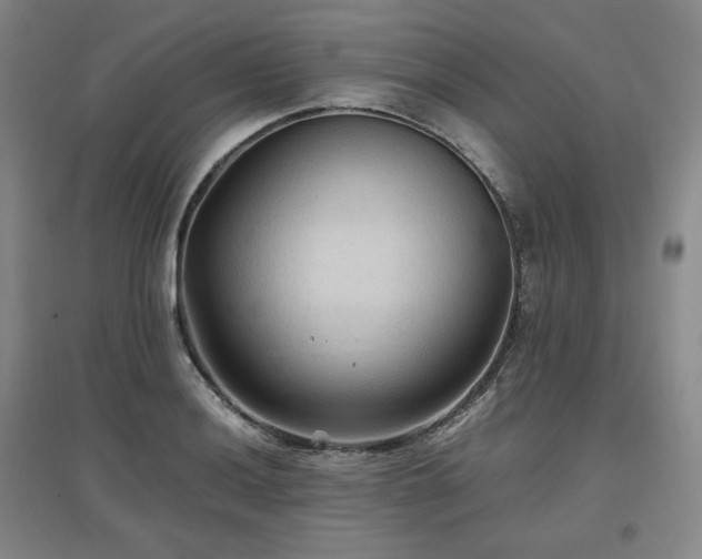 X0000097481036200802221347