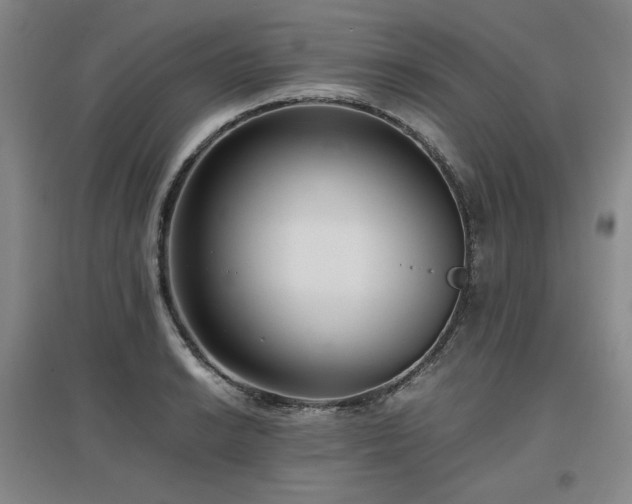 X0000097481038200802221347