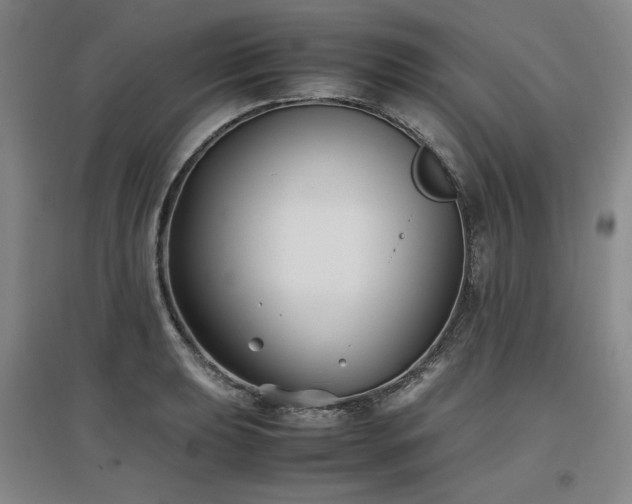 X0000097481039200802221347