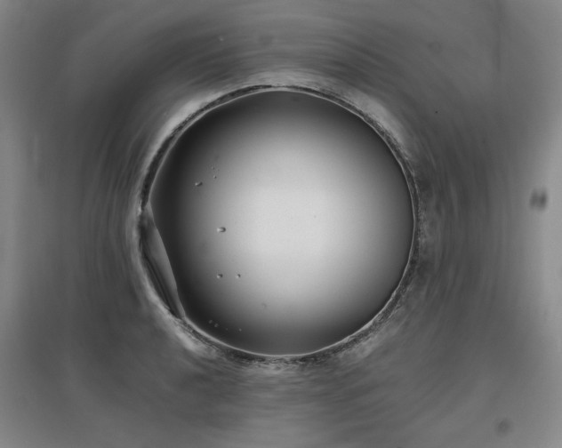 X0000097481040200802221347