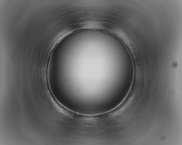 X0000097481041200802221347