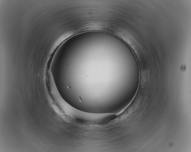 X0000097481042200802221347