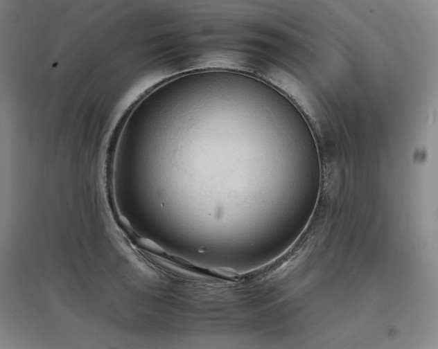 X0000097481043200802221348