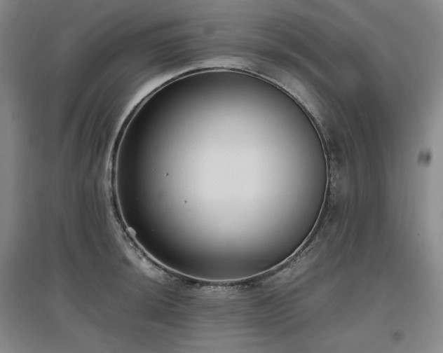 X0000097481044200802221348