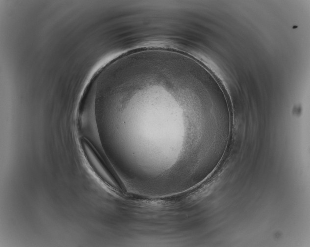 X0000097481045200802221348