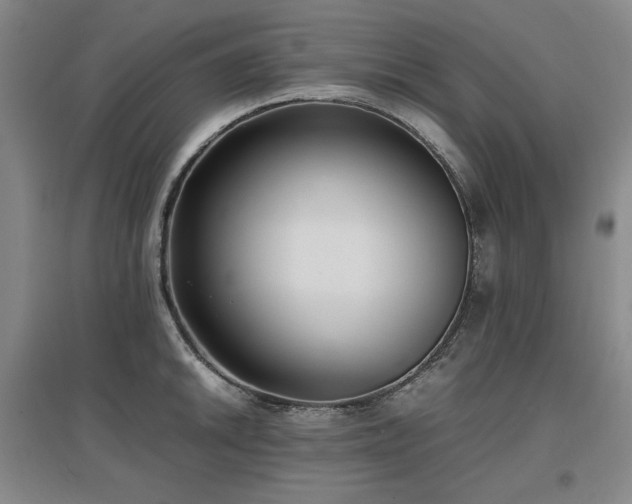 X0000097481046200802221348