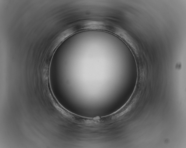X0000097481049200802221348
