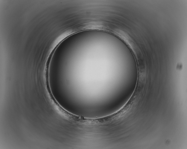 X0000097481050200802221348