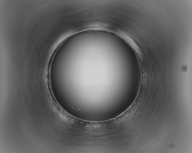 X0000097481051200802221348