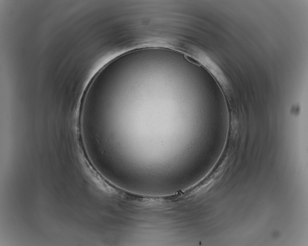 X0000097481052200802221348