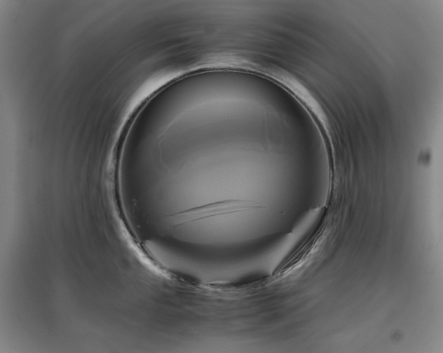 X0000097481053200802221348
