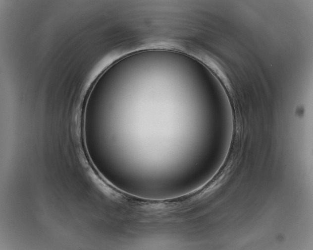 X0000097481054200802221348