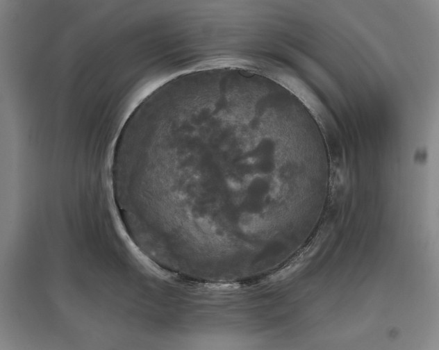 X0000097481055200802221348