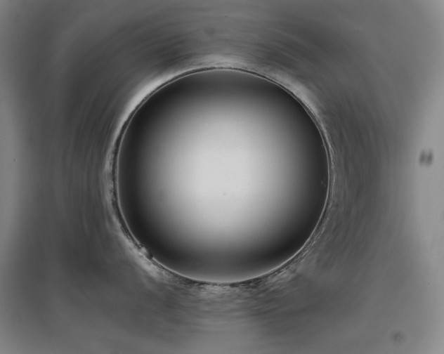 X0000097481056200802221348