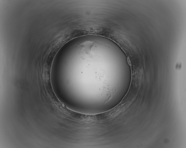 X0000097481058200802221347