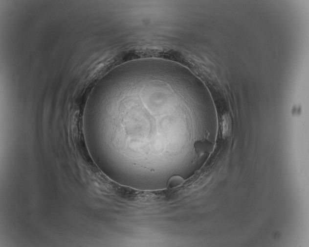 X0000097481059200802221347