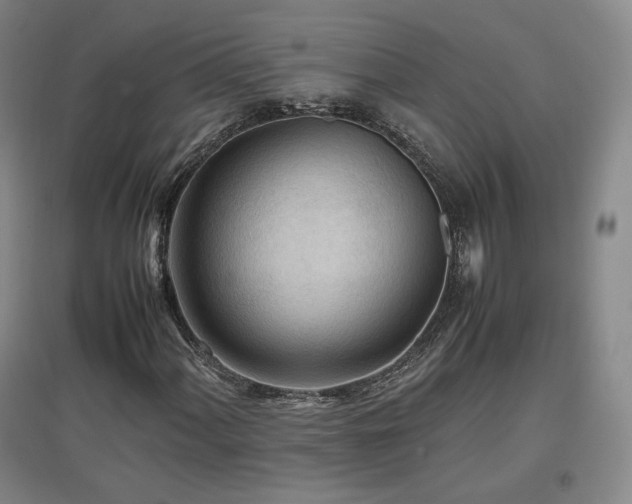 X0000097481060200802221347