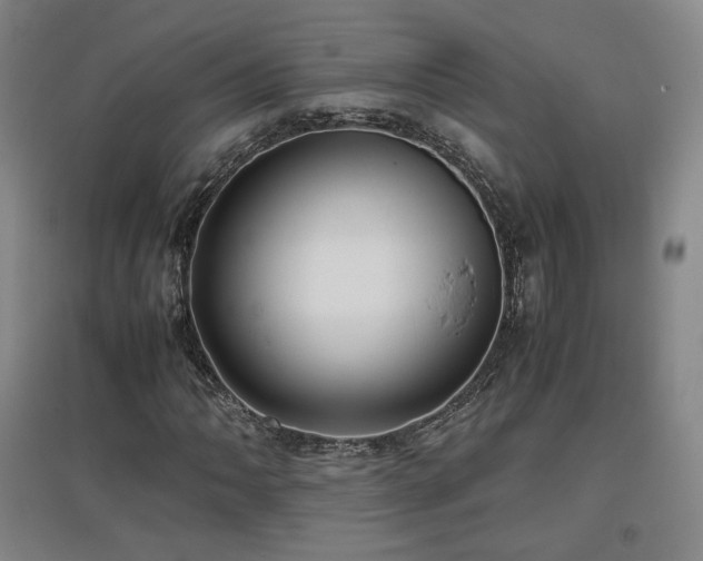 X0000097481062200802221347