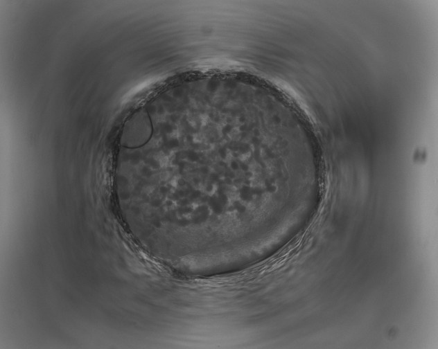X0000097481063200802221347