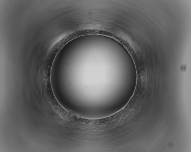 X0000097481064200802221347
