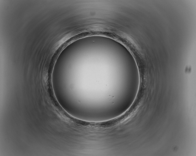 X0000097481065200802221347
