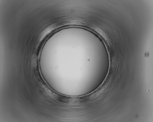 X0000097481067200802221347