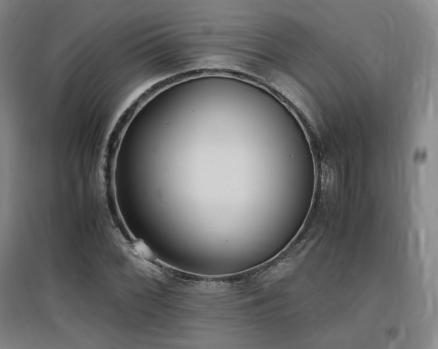 X0000097481068200802221347