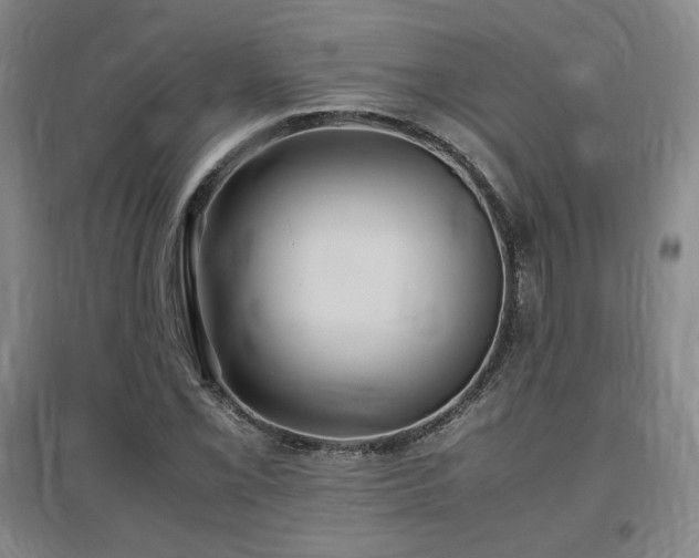 X0000097481069200802221347