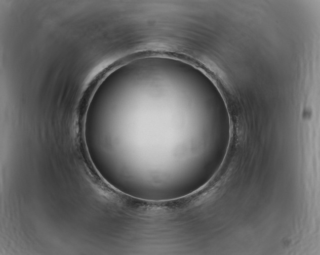 X0000097481070200802221347