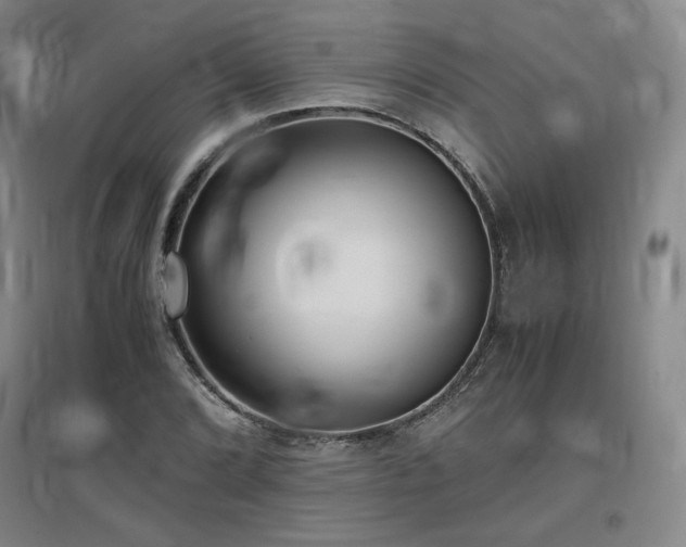 X0000097481072200802221347