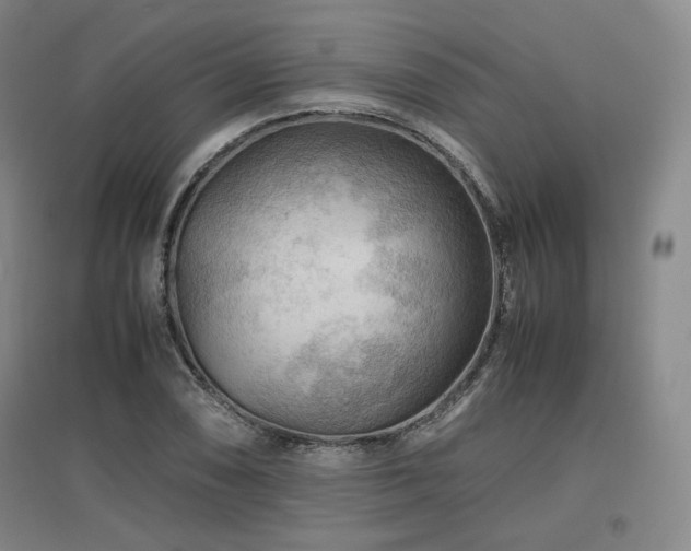 X0000097481074200802221347