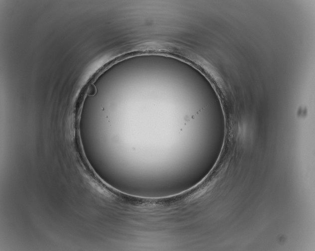 X0000097481075200802221347