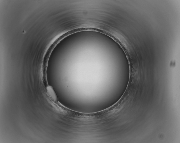 X0000097481076200802221347