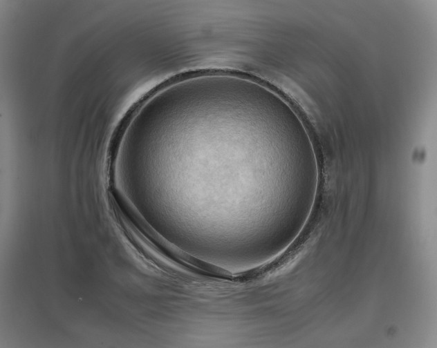 X0000097481077200802221347