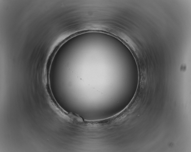 X0000097481080200802221347