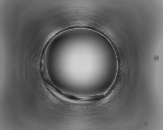 X0000097481081200802221347