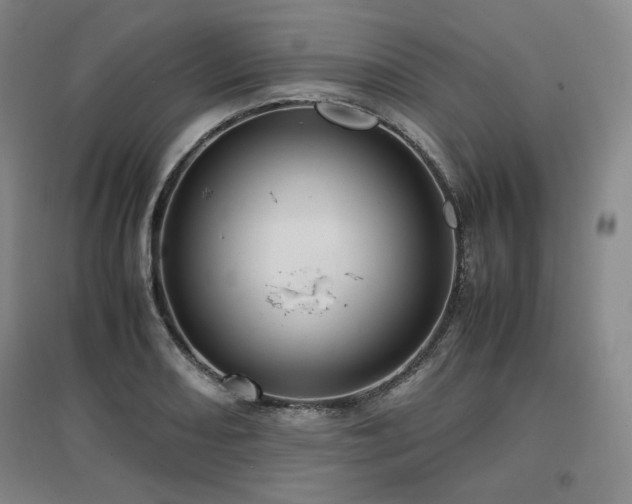 X0000097481082200802221347