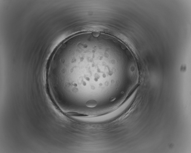 X0000097481083200802221347