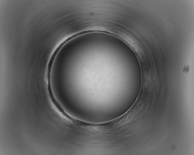 X0000097481084200802221347
