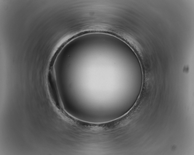 X0000097481085200802221347