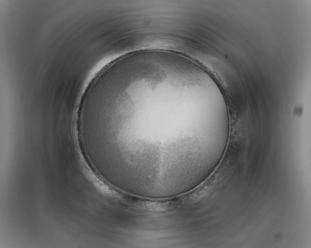 X0000097481086200802221347