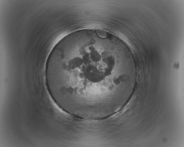 X0000097481087200802221347