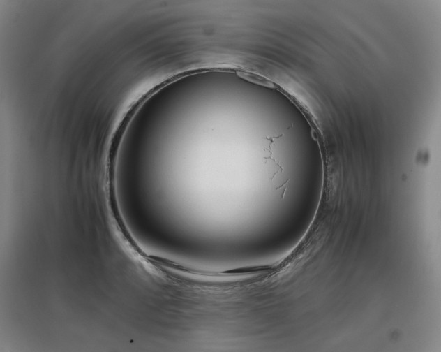 X0000097481088200802221347