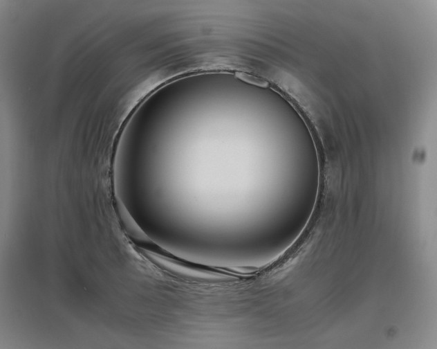 X0000097481089200802221347