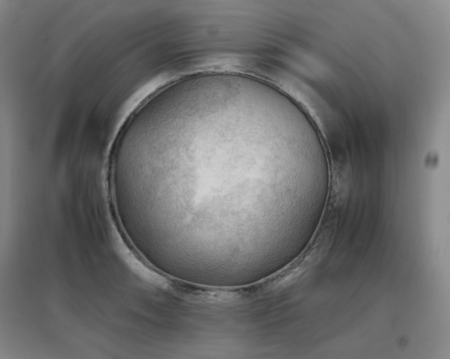 X0000097481090200802221347