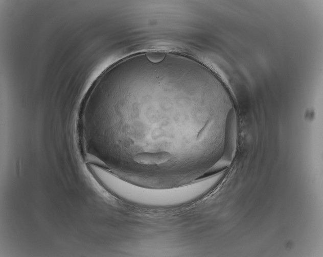 X0000097481091200802221347
