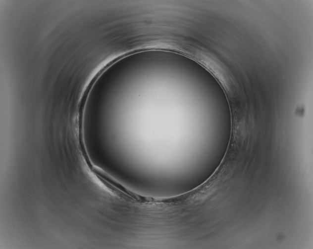 X0000097481092200802221347
