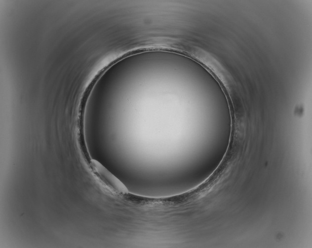 X0000097481093200802221347
