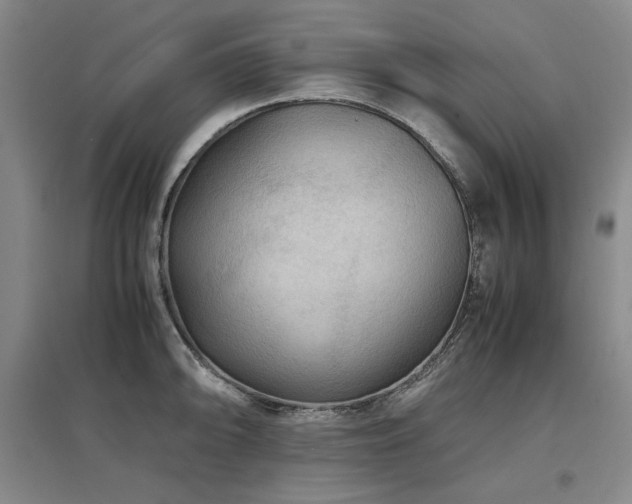 X0000097481094200802221347